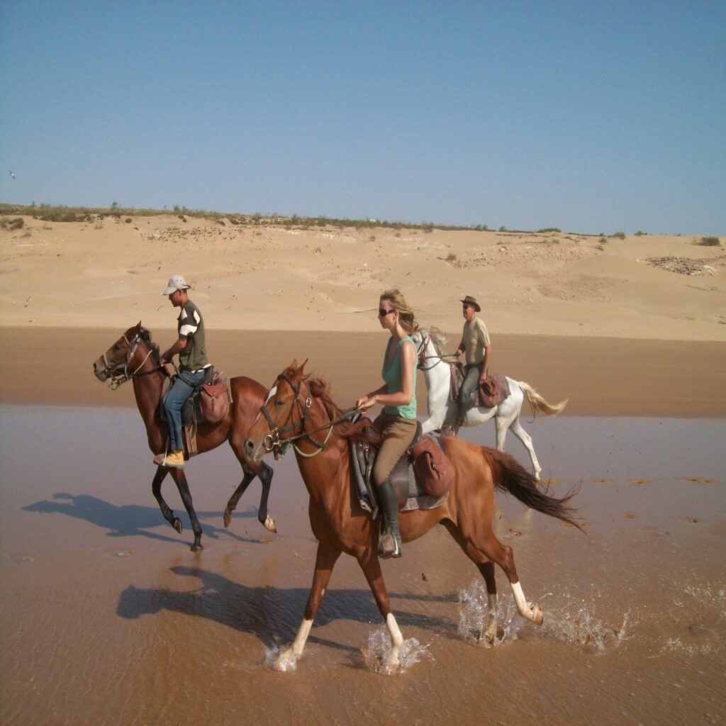 Entertaining Excursions