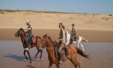 Entertaining Excursions