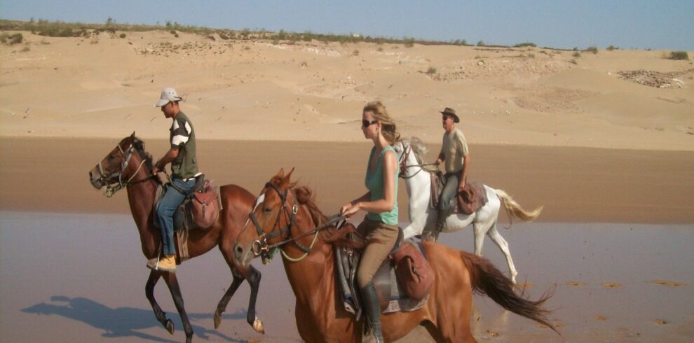 Entertaining Excursions