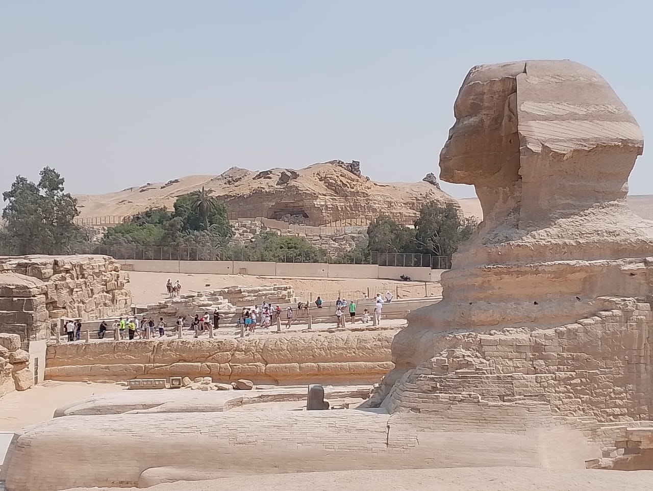 whatsapp image 2025 02 13 at 12.51.40 pm