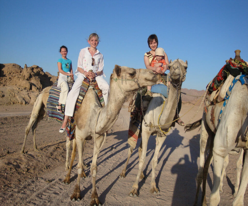 camel riding