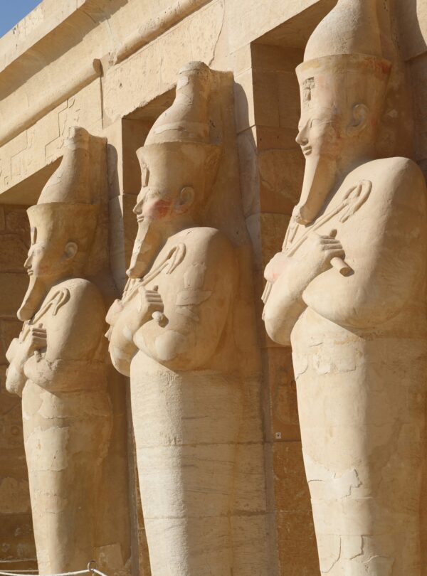 mahmoud refaat q8qfgf43pro unsplash